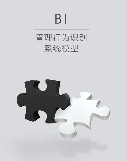 BI管理行為識別系統模型